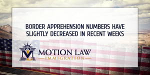 Border encounter numbers have decreased this month