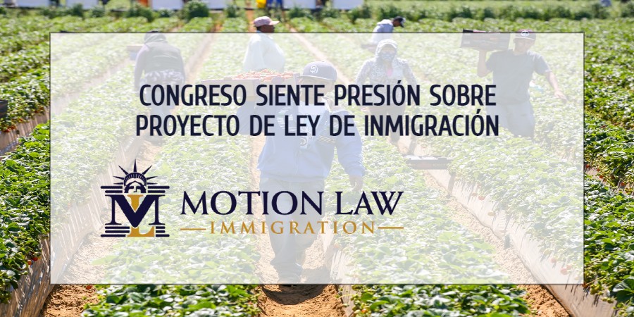 Senado tiene que decidir sobre legislación de inmigración