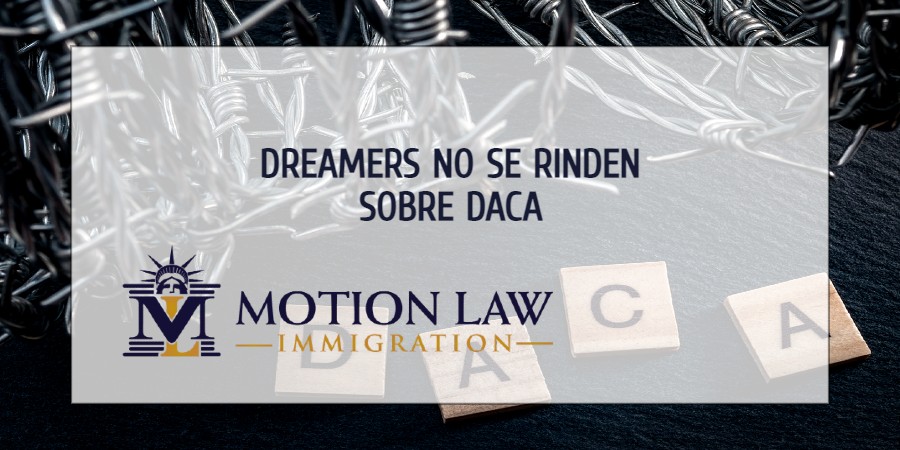 Dreamers No Se Rinden Sobre DACA