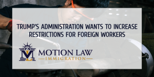 Trump might reduce the amount of work visas issued by USCIS