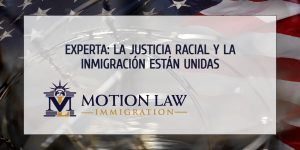 Opiniones sobre la justicia racial y la inmigración