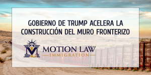 Administración de Trump acelera construcción del muro antes de las elecciones