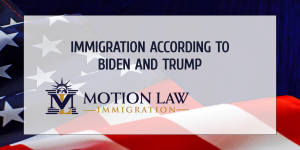 Immigration According To Biden And Trump | Motion Law Immigration