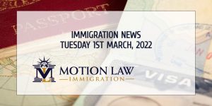 Your Summary of Immigration News in 1st March 2022