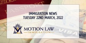 Your Summary of Immigration News in 22nd March, 2022