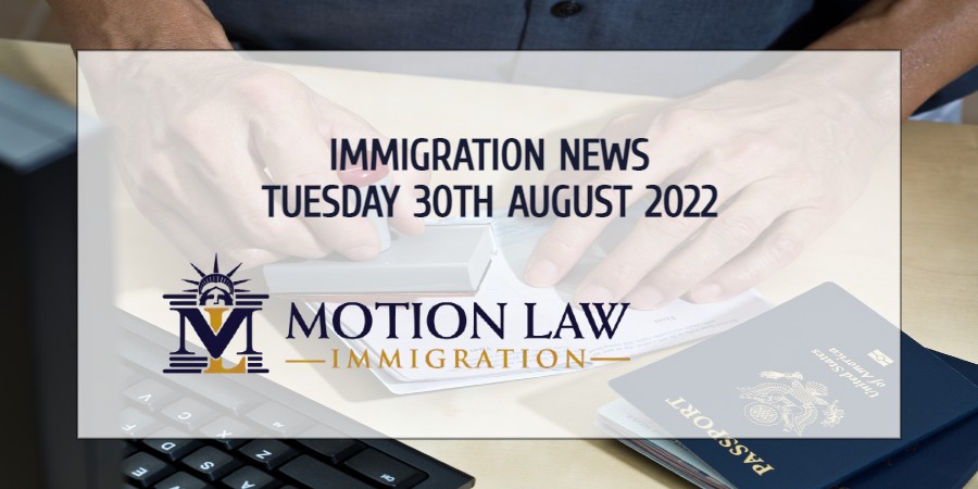 Your Summary of Immigration News in 30th August 2022