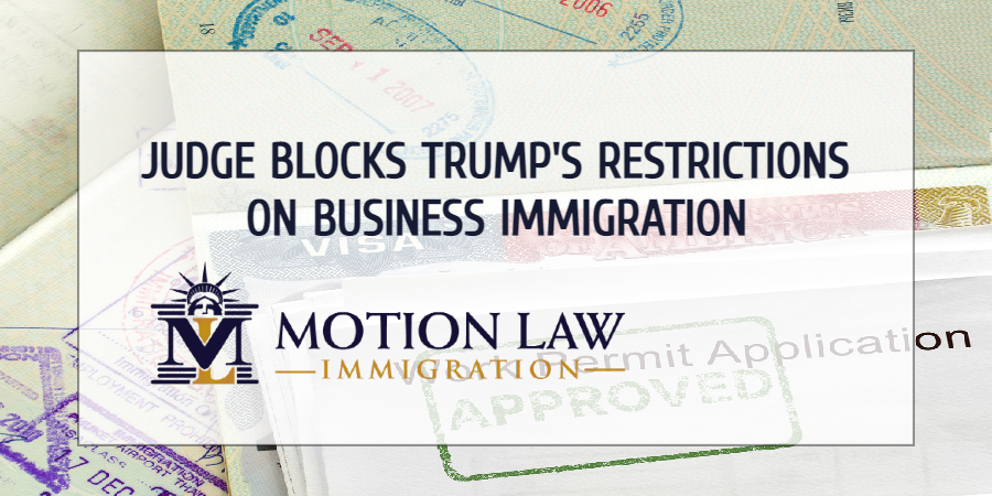 Judge Blocks Trump's Restrictions On Business Immigration | Motion Law ...