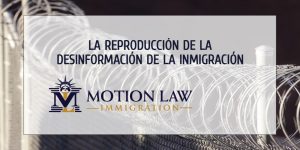 La desinformación de la inmigración toma fuerza