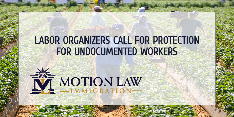 Labor organizers want to offer deferred action to undocumented workers