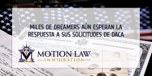 Miles de jóvenes inmigrantes aún esperan la aprobación de sus solicitudes de DACA