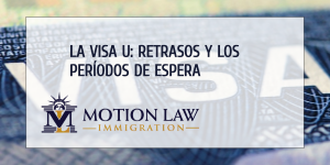 Tiempos de espera de la Visa U