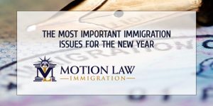 What will be the most important immigration issues this year?